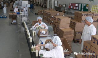 投資1000萬(wàn)美元的化妝品加工廠在安開(kāi)業(yè)，引領(lǐng)本土美妝產(chǎn)業(yè)新格局